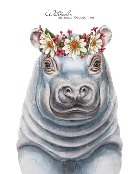 Dziecko Hipopotama Kwiatowej Koronie Akwarelowy Portret Hipopotama Zwierzęta Wieńcu Kwiatowym — Zdjęcie stockowe