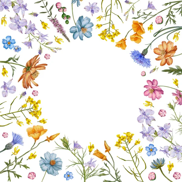 丸い花のフレーム 草原の花やハーブの背景 手描き花 — ストック写真