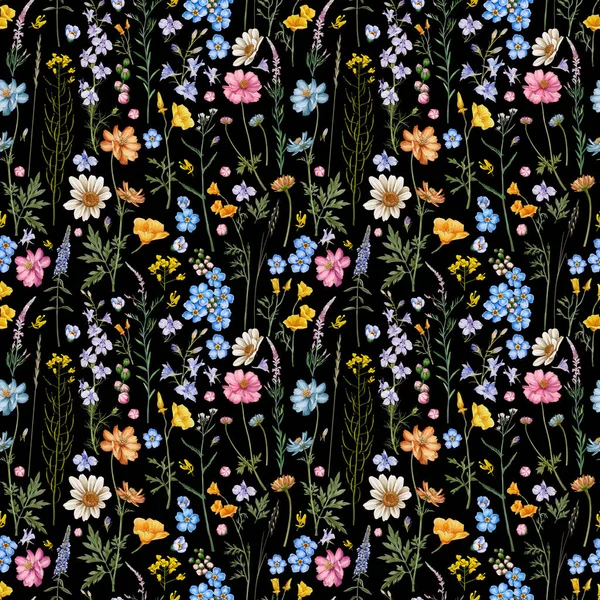 草原の花やハーブのシームレスなパターン 草原のコーンフラワー コンソリダレガリス シャメリオン Angustifolium コスモスの花 — ストック写真