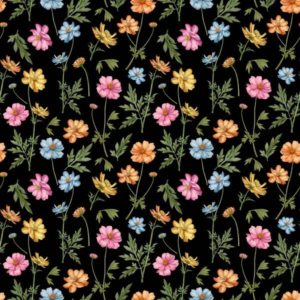 草原の花やハーブのシームレスなパターン 草原コスモスの花 ピンク 黄色の花の背景 — ストック写真
