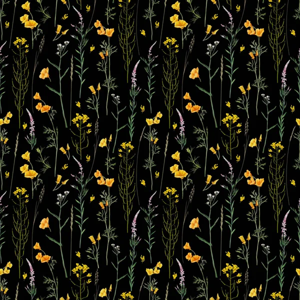草本植物和草本植物无缝花纹 田里的菜籽黄色草甸花卉背景 — 图库照片#