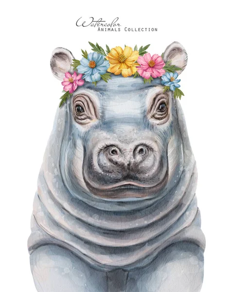 Dziecko Hipopotama Kwiatowej Koronie Akwarelowy Portret Hipopotama Zwierzęta Wieńcu Kwiatowym — Zdjęcie stockowe