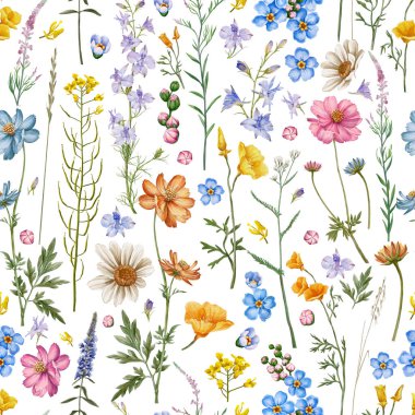 Çayır çiçekleri ve otlar pürüzsüz desen. Meadow çiçek, Consolida regalis, Chamerion angustifolium, Cosmos çiçeği..