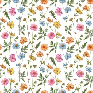 Meadow flowers and herbs  seamless pattern. Meadow Cosmos flower. Blue, pink, yellow floral background clipart