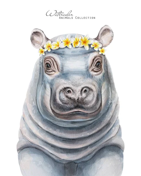 Hippo Bebê Coroa Floral Retrato Hipopótamo Aquarela Animal Grinalda Floral — Fotografia de Stock
