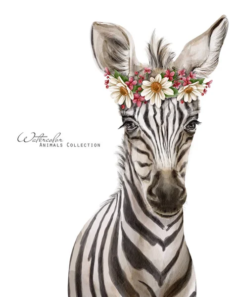 Dziecko Zebry Słodka Zebra Kwiatowym Wieńcu Korona Kwiatowa Ilustracja Zwierząt — Zdjęcie stockowe
