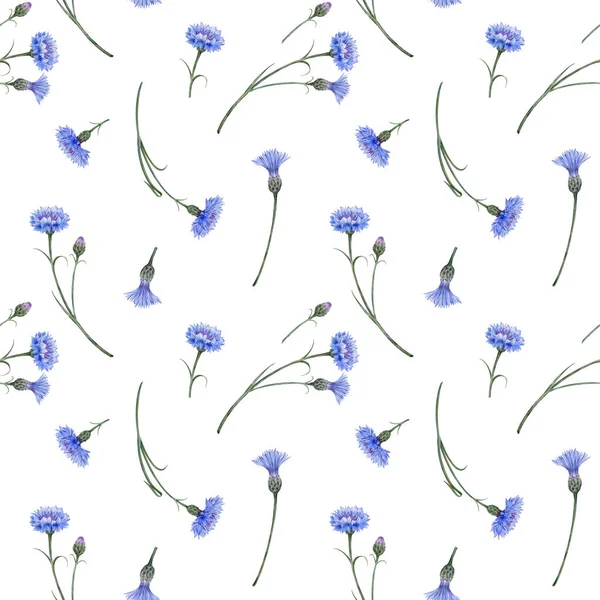 Seamless Pattern Blue Wild Flowers Meadow Cornflowers — Foto de Stock
