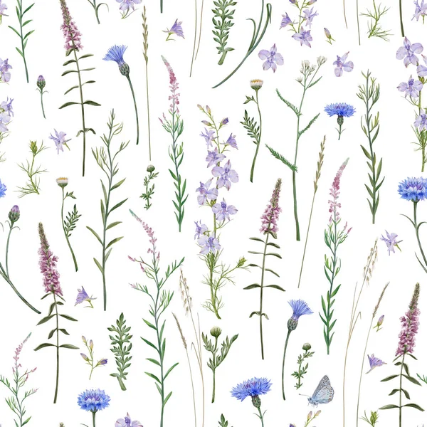 草原の花やハーブのシームレスなパターン 一般的な青い蝶と草原の花 コンソリダレガリス シャメリオンAngustifolium — ストック写真