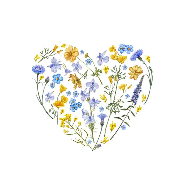 Fond Floral Coeur Fleurs Herbes Des Prés Fleurs Dessinées Main — Photo