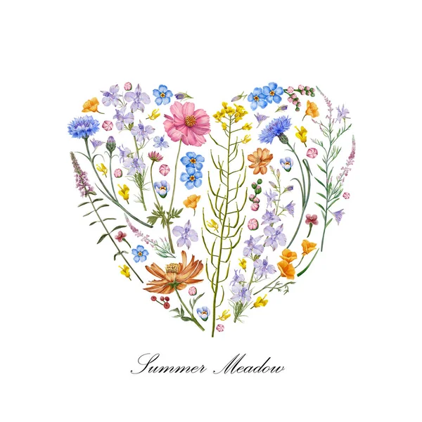 Fundo Floral Coração Flores Ervas Prado Flores Desenhadas Mão — Fotografia de Stock