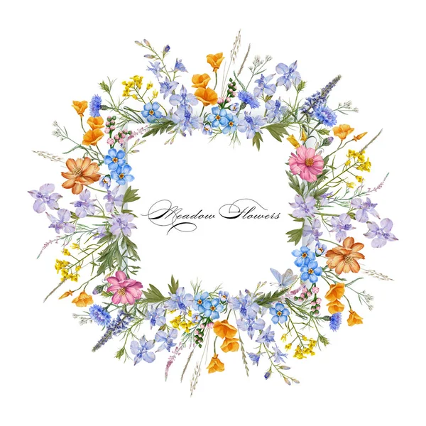 Achtergrond Met Wilde Bloemen Grasbloemen Frame Kleurrijke Bloemen — Stockfoto