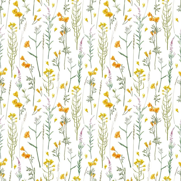 Wiesenblumen Und Kräuter Nahtlose Muster Ackerraps Gelbe Wiese Blumiger Hintergrund — Stockfoto