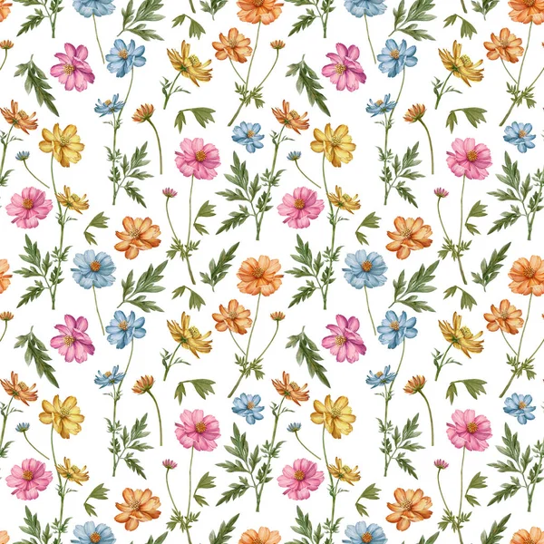 Meadow Flowers Herbs Seamless Pattern Meadow Cosmos Flower Blue Pink — Stock Photo, Image