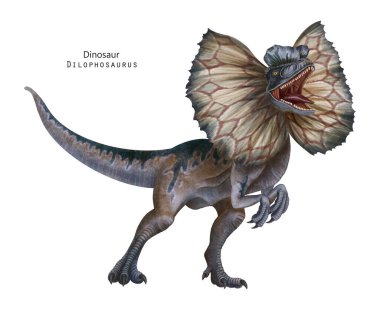 Süslü resimli Dilophosaurus. Kafasında arma olan bir dinozor. Kahverengi, mavi, gri dino. Kükreyen dino