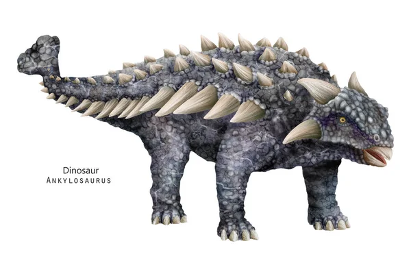 Ilustração Anquilossauro Dinossauro Com Espinhos Chifres Dino Cinzento — Fotografia de Stock