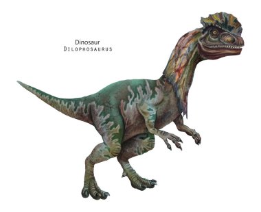 Dilophosaurus çizimi. Kafasında arma olan bir dinozor. Yeşil Dino