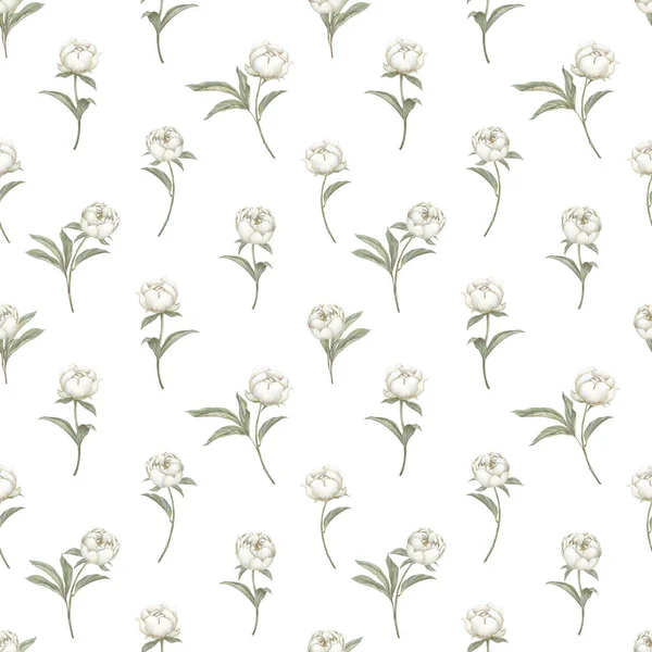 Weißes Pastellfarbenes Pfingstrosenmuster Hand Gezeichnet Blühenden Floralen Hintergrund Sanfte Töne — Stockfoto