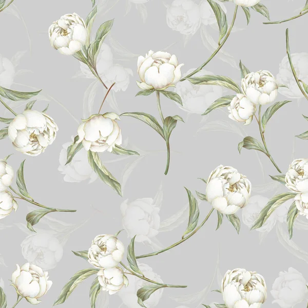 Weißes Pastellfarbenes Pfingstrosenmuster Handgezeichnete Blühende Blumen Auf Grauem Hintergrund Sanfte — Stockfoto