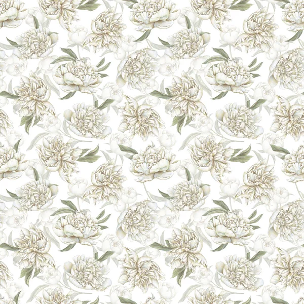 Weißes Pastellfarbenes Pfingstrosenmuster Handgezeichnete Blühende Blumen Auf Weißem Hintergrund Sanfte — Stockfoto