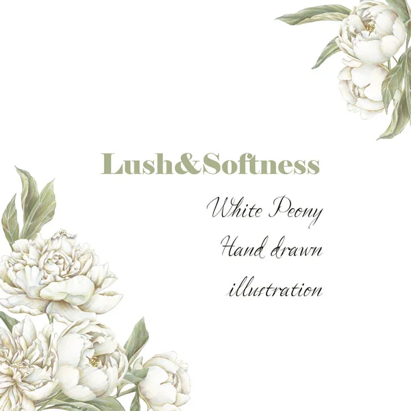 白い花の背景 牡丹の花の招待状 水彩みすぼらしいシックなスタイル — ストック写真