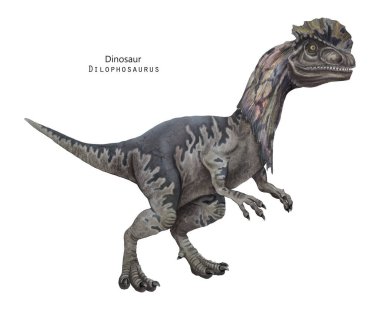 Dilophosaurus çizimi. Kafasında arma olan bir dinozor. Gri Dino