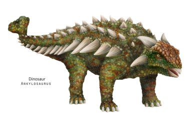 Ankylosaurus çizimi. Dikenli, boynuzlu bir dinozor. Yeşil Dino