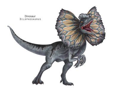 Süslü resimli Dilophosaurus. Kafasında arma olan bir dinozor. Gri, sarı dino. Kükreyen dino