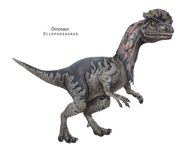 Ilustração Dilophosaurus Dinossauro Com Crista Cabeça Dino Cinzento — Fotografia de Stock