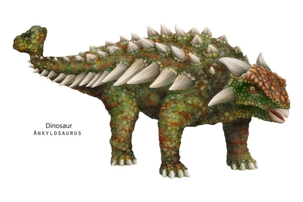 Ankylosaurus Ilustrace Dinosaurus Hroty Rohy Zelený Dino — Stock fotografie