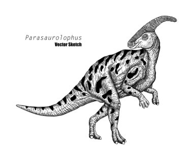 Parasaurolophus. Dinozor çizimi. Siyah ve beyaz. El çizimi vektör sanatı. satır sanatı