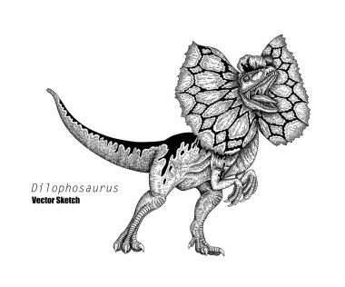 Dilophosaurus. Dinozor çizimi. Siyah ve beyaz. El çizimi vektör sanatı. satır sanatı