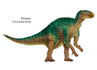 Iguanodon illüstrasyonu. Otçul dinozor. Yeşil dino sanatı