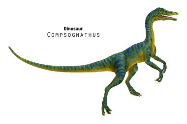 Compsognathus illüstrasyonu. Küçük yeşil çizgili dinozor. 
