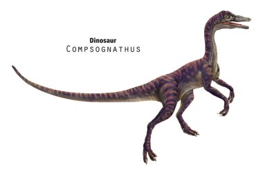 Compsognathus illüstrasyonu. Küçük kahverengi ve bej çizgili dinozor..