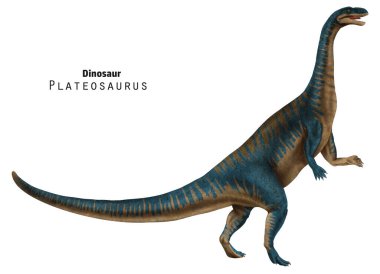 Plateosaurus çizimi. Uzun boyunlu ve kuyruklu bir dinozor. Mavi, bej dino