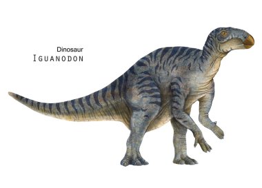 Iguanodon illüstrasyonu. Otçul dinozor. Gri dinozor sanatı