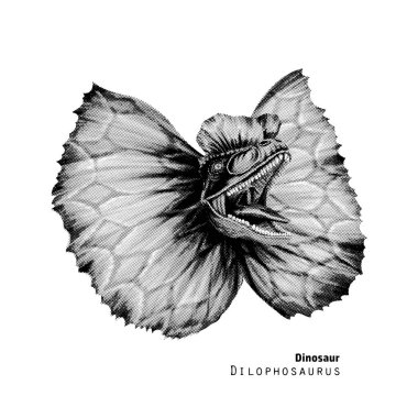 Süslü resimli Dilophosaurus. Kafasında arma olan bir dinozor. Noktalama vektör çizimi. Siyah ve beyaz