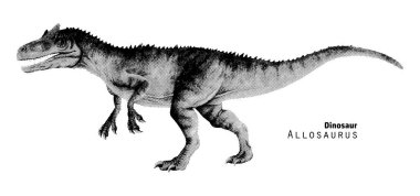 Allosaurus çizimi. Açık çeneli dinozor. Antik hayvan avcısı. Noktalama vektör çizimi. Siyah ve beyaz