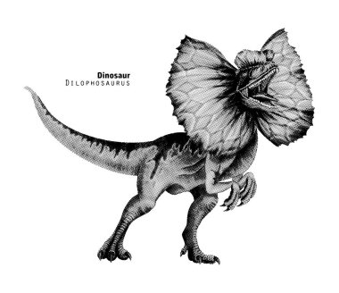 Süslü resimli Dilophosaurus. Kafasında arma olan bir dinozor. Noktalama vektör çizimi. Siyah ve beyaz