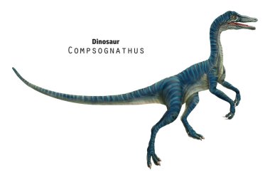 Compsognathus illüstrasyonu. Küçük mavi çizgili dinozor. 