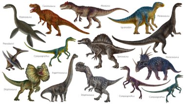 Dinozor seti. Dino illüstrasyonu. Etoburlar ve otçullar. Allosaurus, Elasmosaurus, Compsognathus, Iguanodon, Plateosaurus, Spinosaurus, Pterodactyl, Ankylosaurus