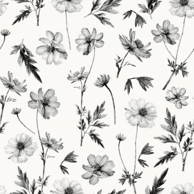 Kozmos çiçeğiyle kusursuz desen. Meadow Çiçek Noktalama Çizimi. Nokta sanatı. Vektör çiçek. Siyah beyaza