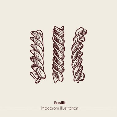 Fusilli İtalyan Makarnası. Elle çizilmiş yemek taslağı. Eski tarz oyma. Oyma. Satır sanatı