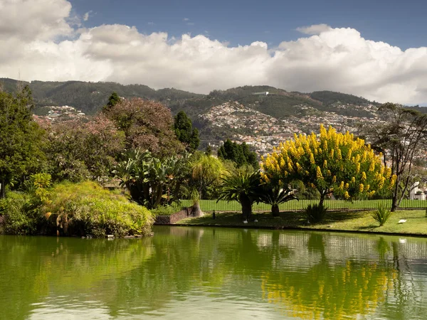 Funchal şehrine park et. 