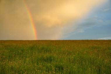 Atmospheric landscape with rainbow, clouds and blue sky and the sun shining 