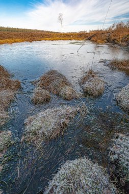 Moorlands in winter time in southern Lower Saxony, Solling Germany   clipart