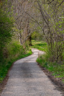 Pathway through the nature in april, sunny spring afternoon
