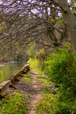Pathway by the river channel on the sunny day during spring