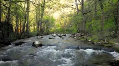 Moravica nehrinin yukarısında, dinlenme yeri olan Lepterija 'da, harika bir milli park ve 4K 60pfs bahar sezonunda dokunulmamış doğa ile ilgili bir video var.