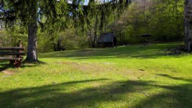 İlkbahar mevsiminde ormanın derinliklerindeki parkın havadan çekilmiş videosu. Yeşil bitki örtülü saf doğa, turistlerin 4K 60fps 'e ulaşmasına hazır.